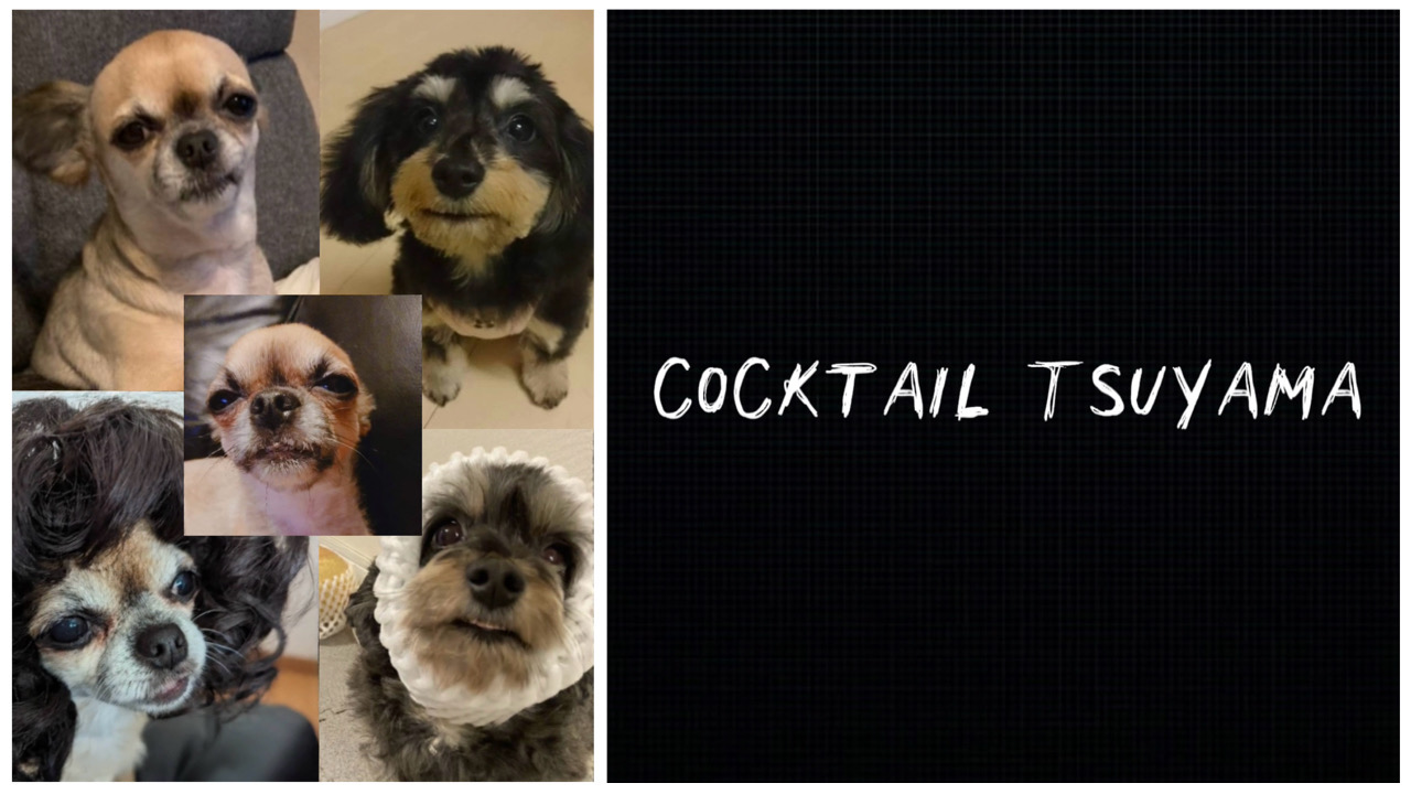 THE COCKTAIL TSUYAMA