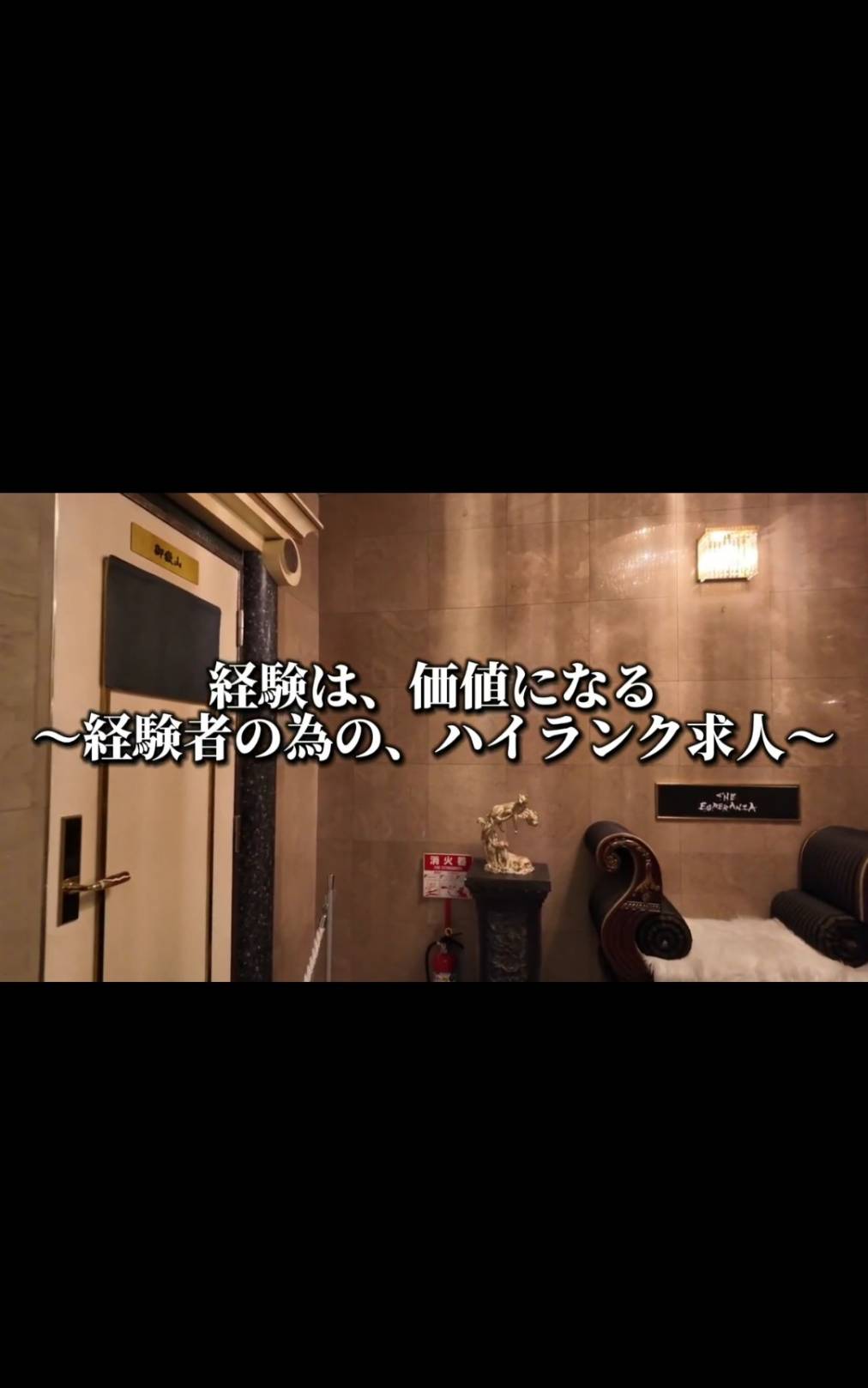 どの様に活躍してる？